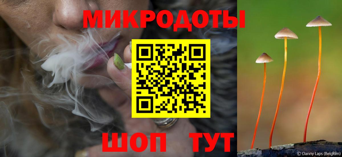 Псилоцибиновые грибы мицелий Чехов